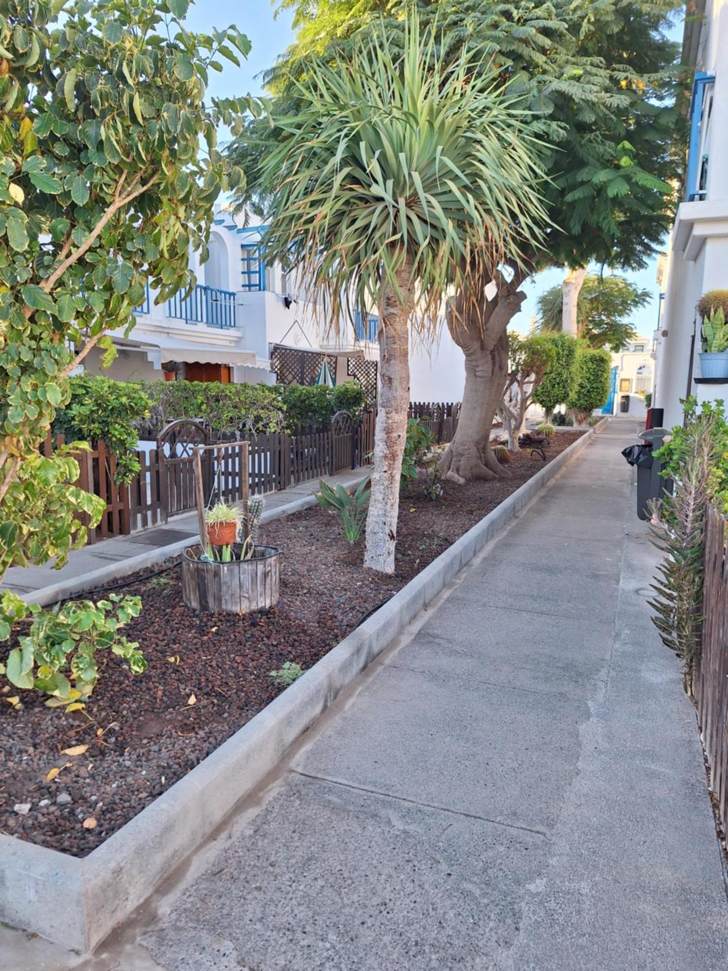 Poolfront Bungalow Playa del Inglés Buitenkant foto